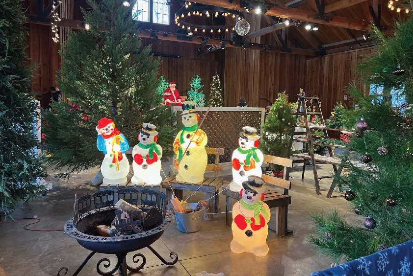 Holiday Tree Walk @ Roaring Camp - November 28-30, December 6-7, December 13-14, December 20-23