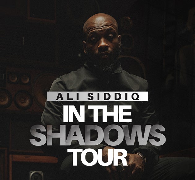Ali Siddiq - In the Shadows