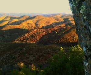 Henry W Coe State Park