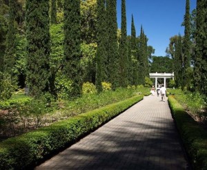 Montalvo Arts Center Gardens